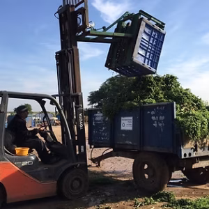מהפך דולבים לדולבים של חברת "דולב"